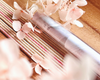 Yamazakura Wild Cherry Blossom - Tokyo Kodo Incense