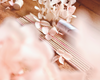 Yamazakura Wild Cherry Blossom - Tokyo Kodo Incense