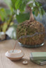 Home - Japanese Incense
