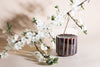 Love Carrot - Tokyo Kodo Incense